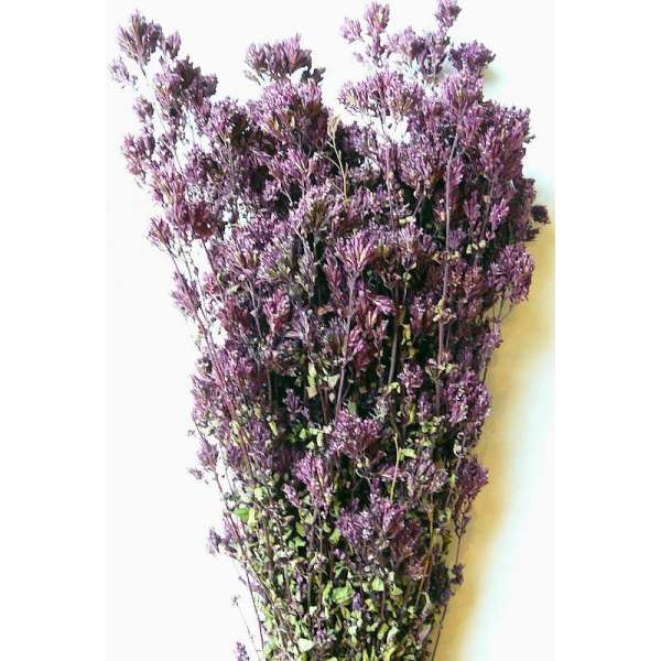 Dried Oregano Flowers Bunch - Santa Cruz