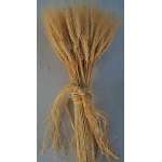 Dried Wheat Bunch - 8 oz blond