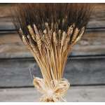 Large Dried Blackbeard Wheat Bunch