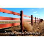 Large Country Tumbleweed