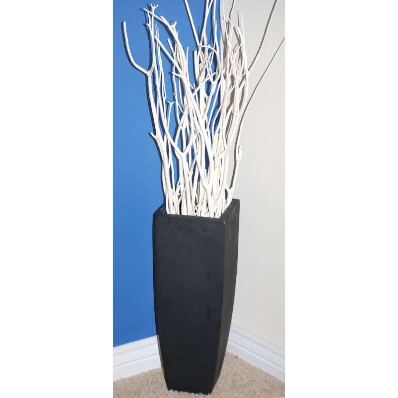 Mitsumata Branches Decorative Branches for Vases