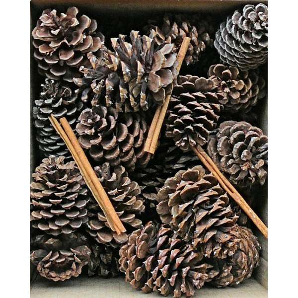 Pine Cones with Cinnamon Sticks