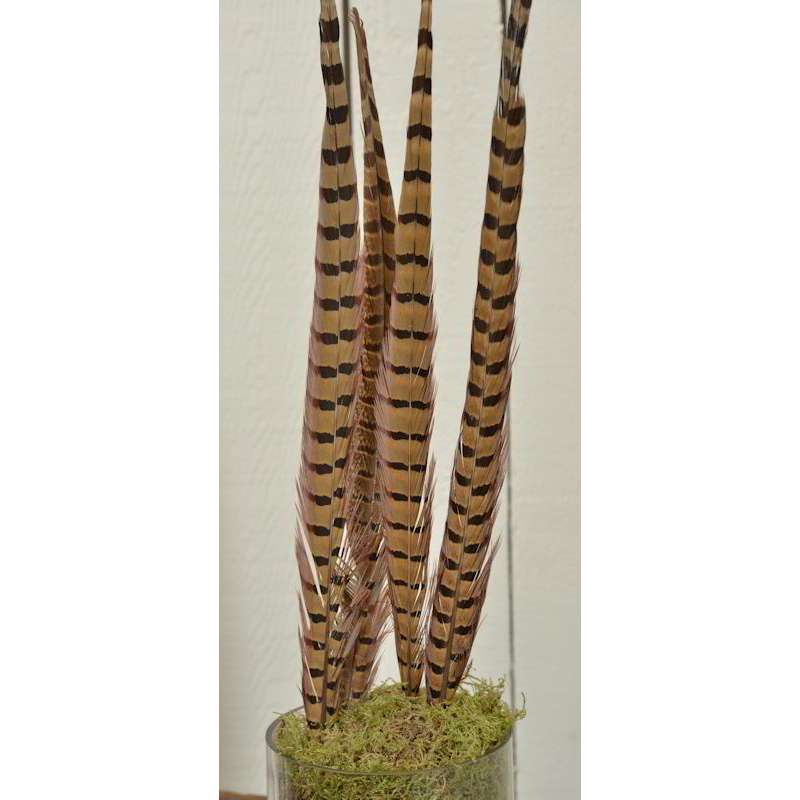 Natural Ringeck Pheasant Tails | 6-8 Inches Pheasant Feathers