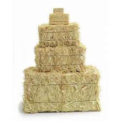 Mini Straw Bales - 2.5 inch (2 per bag)