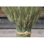 Green Bearded Vertical Wheat Cone