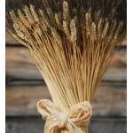 Extra Large Blackbeard Wheat Sheaves