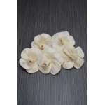 Sola Wood Hibiscus