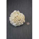 Sola Wood Hydrangea Flower Bouquet