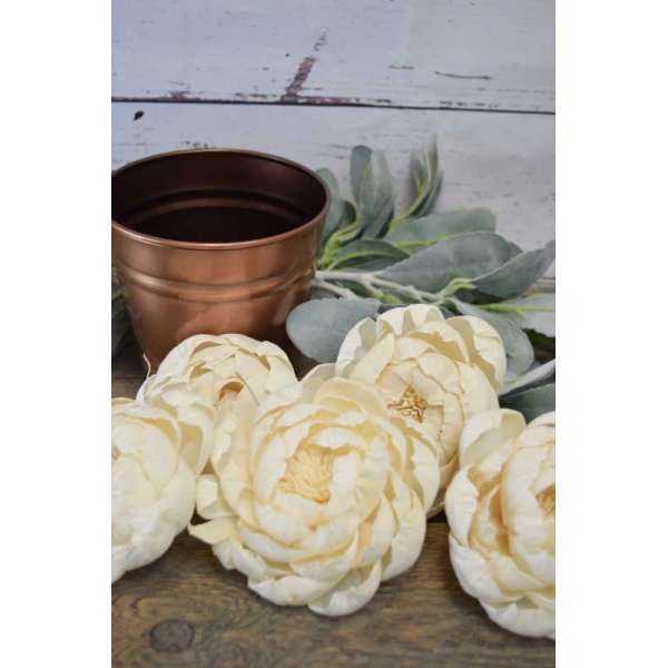 Wood Peony Flowers - Peonies BH