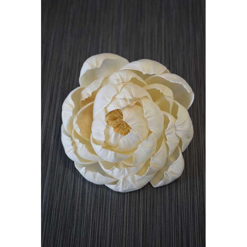 Wood Peony Flowers Wood Peonies Wood Flowers