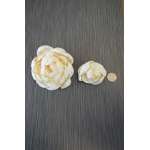 Wood Peony Flowers - Peonies BH