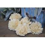 Sola White Beauti Chip Rose