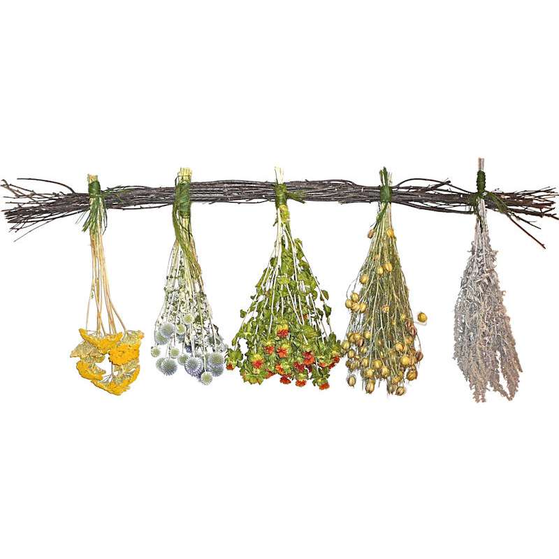 Garden Herb Decorative Wheat Swag