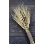 Vintage Wheat and Lavender Bouquet -  10oz