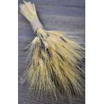 Vintage Wheat and Lavender Bouquet -  10oz