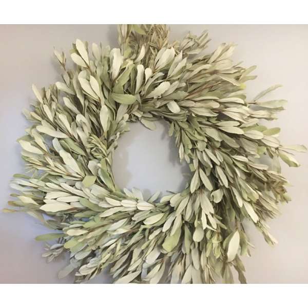 Natural Integrifolia Wreath - 17 or 24 inches