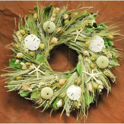 Dried Sand Dollar Seashell Beach Wreath