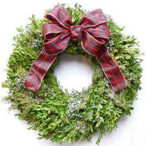 Fresh Juniper/Boxwood Holiday Wreath