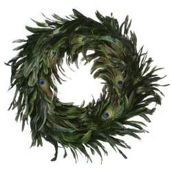 Peacock Feather Wreath - 14-18